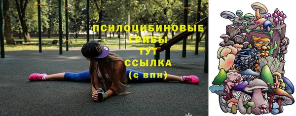 дживик Каменка