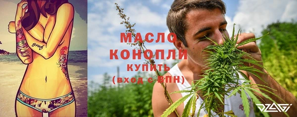 дживик Каменка