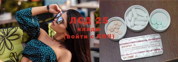 дживик Каменка