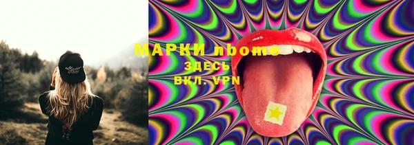 дживик Каменка