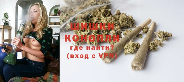 дживик Каменка
