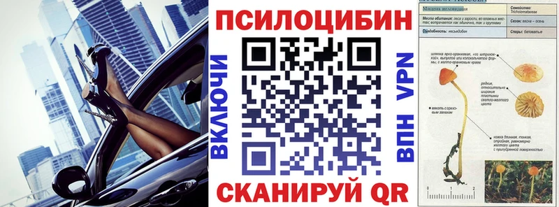 Псилоцибиновые грибы GOLDEN TEACHER  купить наркотики цена  Великий Новгород 