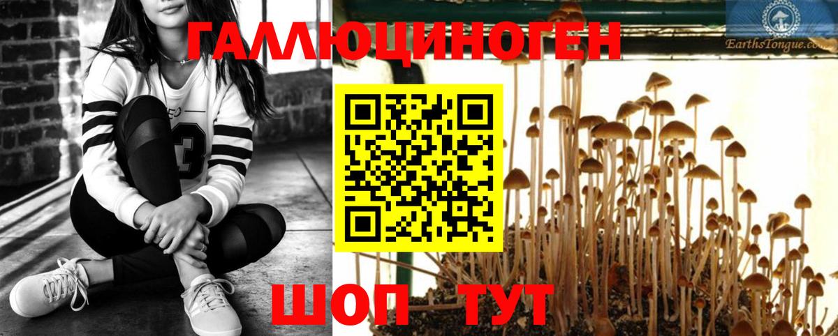 Псилоцибиновые грибы прущие грибы Великий Новгород