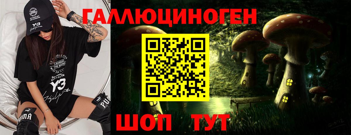 Галлюциногенные грибы Cubensis  Вход с VPN  Великий Новгород  Псилоцибиновые грибы GOLDEN TEACHER 