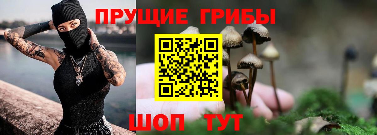 Галлюциногенные грибы MAGIC MUSHROOMS Великий Новгород